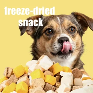 Natural Fresh Freeze Dried Chicken Pet Snacks Easy Absorb Balanced Nutrition Suitable for Small Medium Large Pets