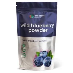 Natural Organic Blueberry Powder OEM Manufacturer Freeze Dried Blueberry Fruit Powder Supplier Rich in Anthocyanins 100g