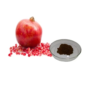 Natural Pomegranate Peel Extract Pomegranate Skin Extract 40% Ellagic Acid Polyphenols
