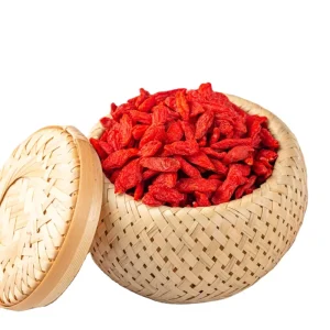 Natural Products Dried Fruit Red Wolfberry Goji Berry Gojiberry Price