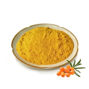 Natural Sea Buckthorn Fruit Powder Good Price Sea Buckthorn Powder for Nutrition & Skincare