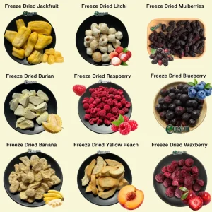 Natural Superfood Fruits Vegetables Freeze Dried Whole and Powder Supplement