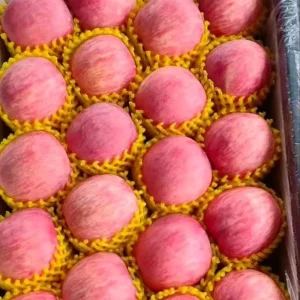New Crop Fresh Red Fuji Apples Premium Sweet & Crisp Red Delicious Fruits Bulk for Export & Retail