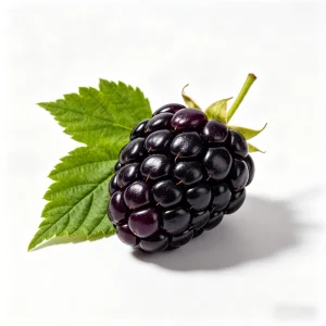 New Crop USDA Organic Frozen Blackberry BRC ISO22000 Factory for Fruit Beverage Baby Jam