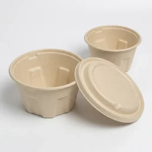 Non Toxic 1000ml Octagonal Soup Dish Environmentally Responsible Bio pulp Package for International Cuisine Take Out