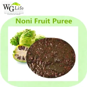 Noni Puree Pure Protection From Fresh Fruit to Original Pulp