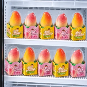 OEM Custom Mango and Peach Flavored Ice Cream 3D Fruit Shape Frozen Snack