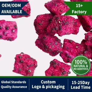 OEM Dried Fruit Freeze Dried Freeze Dried White Red Pink Pitaya Fruit Dragon Dried Vegetables