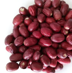 OEM Miracle Berry Fruit Extract Powder Synsepalum Dulcificum Daniell FD Lyophilized Freeze Dried Miracle Fruit Berries