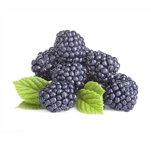 OEM ODM China Factory Frozen Fruit Food IQF Frozen Mulberry Whole HACCP BRC