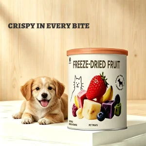 OEM ODM Freeze Dried Mixed Fruit Pet Snacks Natural Sugar Free High Vitamin Training Treats for Dogs and Cats