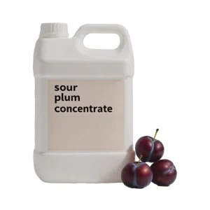 OEM ODM Sour Plum Fruit Juice Concentrate 20kg for Children and Adults Bubble Tea Drink Topping Food and Beverage