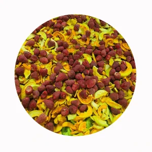 OEM Vacuum Fried Mixed Fruits Custom Flavor & Packaging for Global Snack Manufacturers