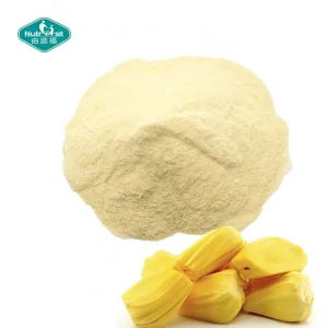 OEM Water Soluble Flavor Fruit Juice Concentrate Customized Freeze Dried Jackfruit Powder Artocarpus Heterophyllus Lam Powder