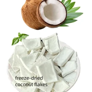 ORY 1kg Bulk Freeze Dried Coconut Slice Freeze Dried Fruit Freeze Dried Fruit