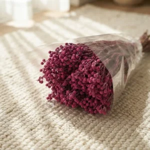 One-Stop Factory Supplies Natural Preserved Coral Fruits for Home Decoration Bouquet DIY Wedding Arrangement