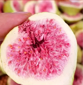 Organic Dried Fruits Preserved in Natural Vacuum Pack Freeze dried Petal Shaped Figs