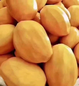 Organic Dry Mango Snack Sweet Sour Preserved Fruit Sliced Powdered Bulk Vacuum Packaged Natural Ad Drying Process Syrup