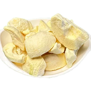 Organic Freeze Dried Apple Slices Fruit and Vegetable Freeze Drying Apples Bulk Packaging
