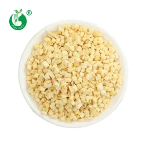 Organic Freeze Dried Fruit Apple in Cubes Slices