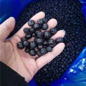 Organic Freeze dried Wild Blueberries Freeze dried Whole Blueberries