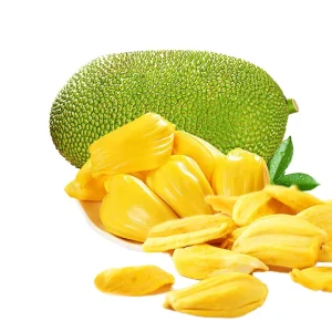 Organic Non-GMO Dried Sliced Jackfruit 100% Natural Pure Premium Food Grade Sweet Bulk Superfood Fruit Snack Preserved Taste
