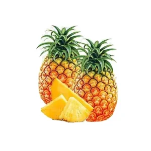 Organic Premium Frozen Whole Pineapple Water Preserved Fruit Grade A 10kg Carton HACCP Certified