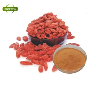 Organic Sweet Goji Berries Bulk Free Samples Dried with Water Preservation AD Drying Process Vacuum Pack Packaging Ningxia