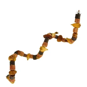 Parrot Dried Fruit Chewable Climbing Teething Puzzle Toy for Cockatiel Budgie Cage Made Shandong Drop Shipping Private Labeling