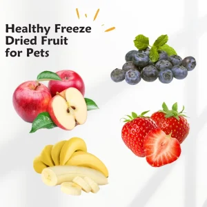 Pet Freeze Dried Vegetables and Fruits Dog Treats Cat Snacks Freeze Dry Banana Strawberry Blueberry Apple Pear