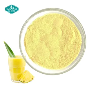 Pineapple Fruit Freeze Dried Flavor Concentrate Pineapple Extract Juice Instant Drink in Bulk
