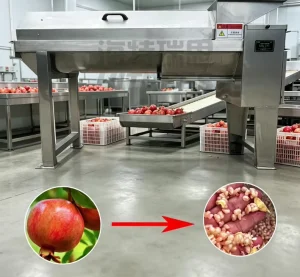 Pomegranate Peeling Equipment for Sale