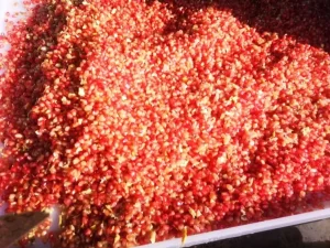 Pomegranate Peeling Machine Pomegranate Seed Removing Machine