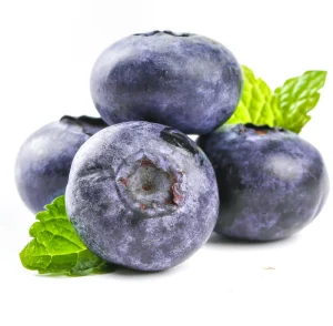 Premium Dried Blueberries Rich in Antioxidants for Bakery & Yogurt