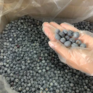 Premium Freeze Dried Blueberry Whole Fruit Natural No Additives Crispy Freeze Dried Blueberries Snack