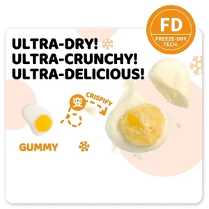 Premium Freeze Dried Candy Assorted Fruit Flavor Crispy Jelly Beans Vegan Gluten Free Sweets