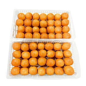 Premium Healthy Juicy Orchard Harvest Fresh Citrus Fruit