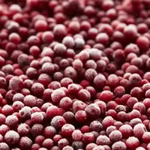 Premium IQF Frozen Lingonberry Whole 10kg Bulk Wild Berries for Jam & Sauce, BRC HACCP Certified Factory Price