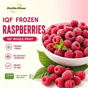 Premium IQF Frozen Raspberries Whole Berries BRC Approved Bulk 10kg Pack for Beverage & Bakery Industry