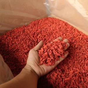 Premium Natural Dried Goji Berries High Grade Red Wolfberry Dried Fruit Tea Sweet Taste Healthy Superfood Snacks Bulk Supply