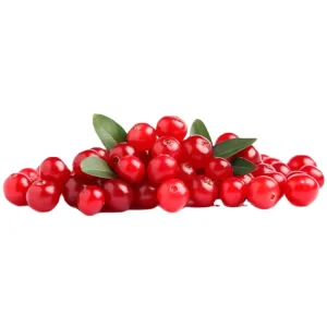 Premium Quality Nutritious Frozen Fruits for Healthy Snacking and Culinary Creations IQF Lingonberries Frozen Lingonberries