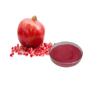 Private Label Natural Pomegranate Extract Powder Pomegranate Fruit Powder