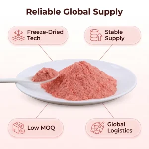 Pure Natural Non GMO Sugar Free No Additives Healthy Snacks Instant Fruit Juice Beverage Grade Freeze Dried Strawberry Powder