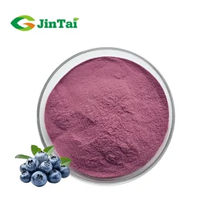 Raw Materia Pure Organic Freeze Dried Fruit Pure Concentrate Blueberry Extract Fruit Juice Powder Blueberry Powder