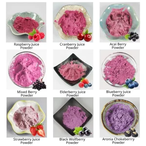 Ready to Ship Organic Fruit Juice Powder Bulk Pure Natural Freeze Dried Fruit Powder One Stop ODM Sachet OEM Bag