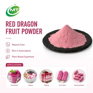 Red Dragon Fruit Powder Natural Colorant Rich in Antioxidants for Smoothies Baking Nutraceutical Applications