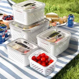Refrigerated Plastic Rectangle Fruit & Berry Container with Durable PP Lid Fresh Food Storage Box 3 6L Capacity