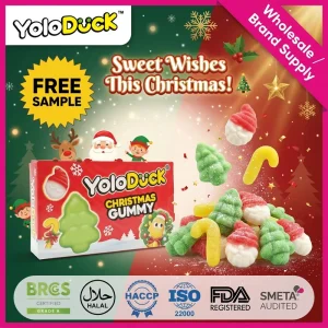 Sour Gummy Candy Variety Pack Organic Fruit Flavors Assorted Novelty Bulk Sweets OEM for Distributor Christmas Gift YOLODUCK