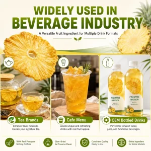 Sulfur Free Organic FD Dried Pineapple Fruit Rings Cocktail Garnish Infusion Water Healthy Snacks Bulk Natural Pineapple