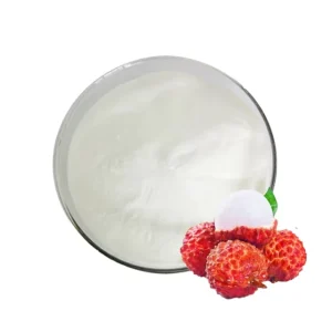 Supply Factory Price Litchi Powder Litchi Fruit Juice Concentrate Lychee Fruit Powder